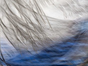 LSF__GX9_7357-Edit.jpg