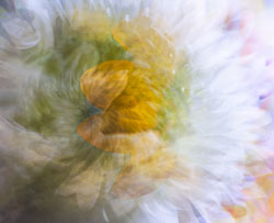LSF__R6_0048-Edit_PSC2_MER6-crop.jpg
