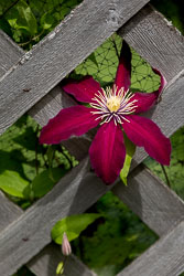 LSF__R6_0164.jpg