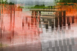 LSF__R6_0215.jpg