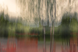 LSF__R6_0220.jpg