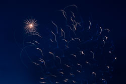 LSF__R6_0553.jpg