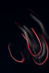 LSF__R6_0560.jpg
