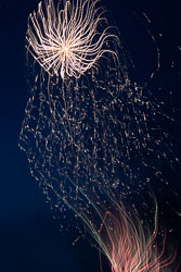 LSF__R6_0575.jpg