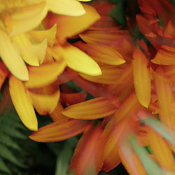 LSF__R6_0679.jpg