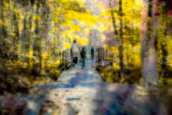 LSF__R6_0731-Edit_PSC3_remix.jpg