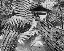 LSF__R6_0761-Edit.jpg