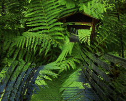 LSF__R6_0761.jpg
