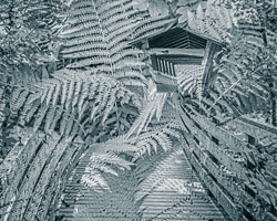 LSF__R6_0761_v1.jpg