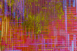 LSF__R6_0821-Edit.jpg