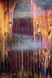 LSF__R6_0829-Edit.jpg