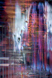 LSF__R6_0830-Edit_PSC2.jpg