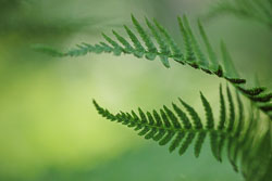 LSF__R6_0924.jpg