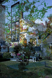 LSF__R6_1895.jpg