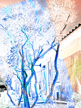LSF__RX9_92968-Edit_PSMeExp3.jpg