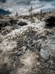 LSF__RX9__590_-100_92727-Edit_CLIR-Twister2.jpg