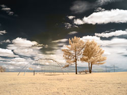 LSF__RX9__655_93074-Edit.jpg