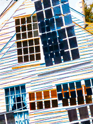 LSF_ph_20260809_135840_v1.jpg