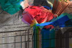 LSF_ph_Bluristic_0022.jpg
