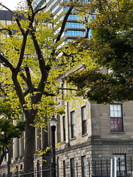 LSF__i14_0235.jpg